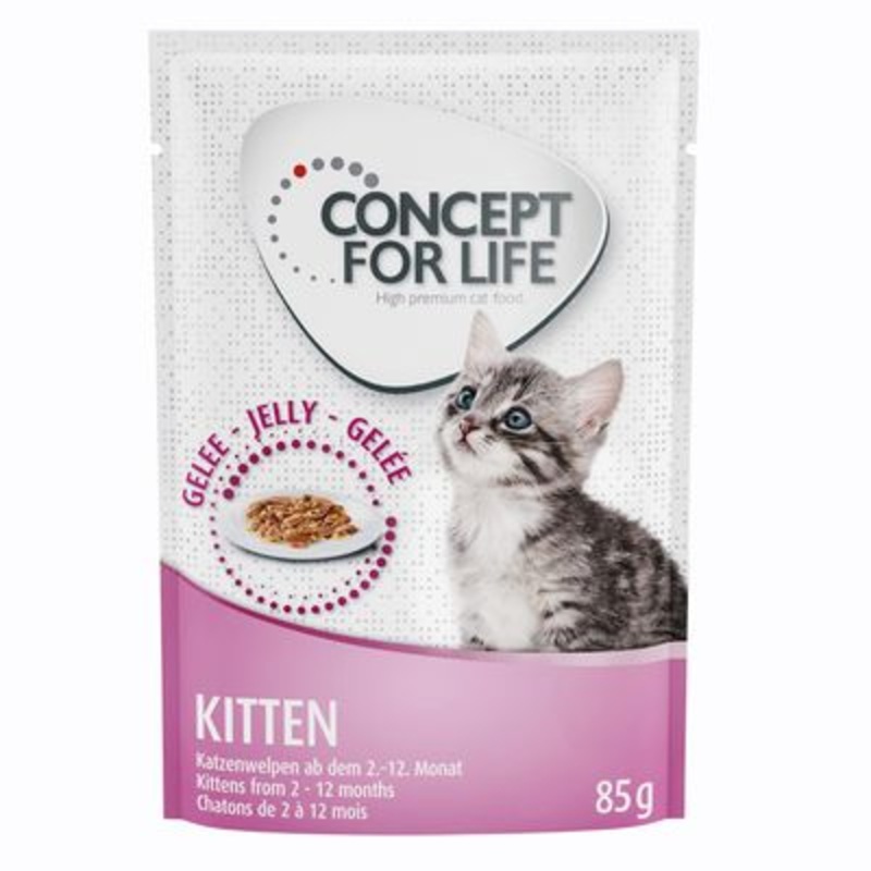 Concept for Life Kitten - in Jelly