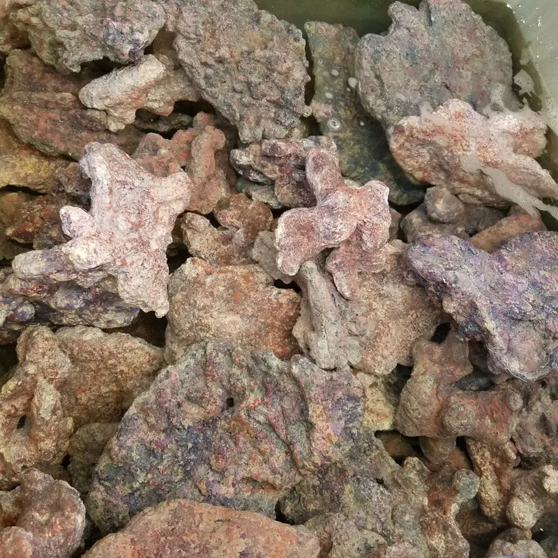 EcoRock Cultured Live Rock - Sold by 1/10th Pound