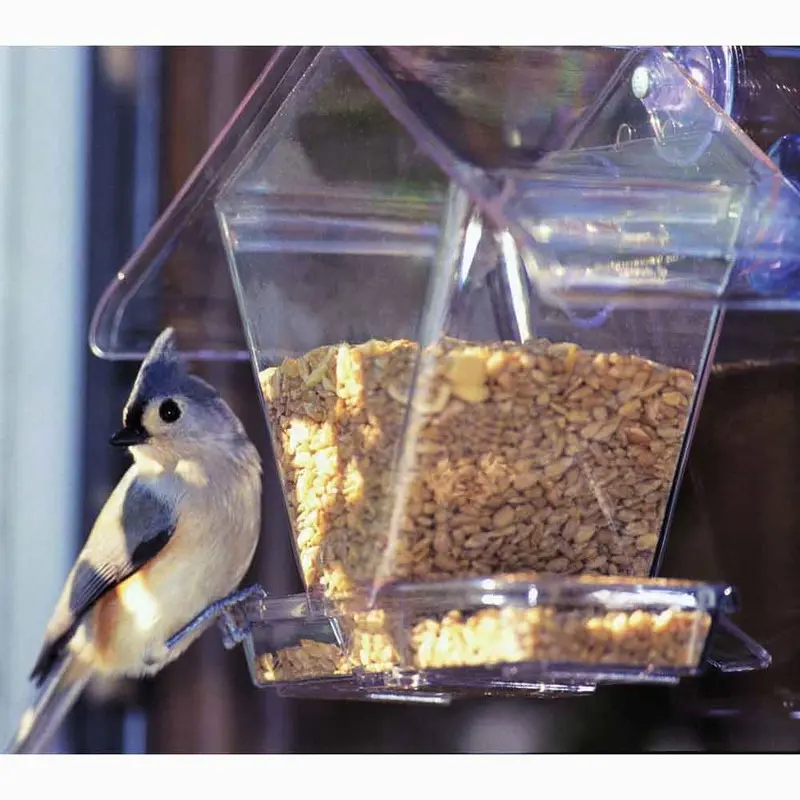 Window Cafe - 3/4 Qt