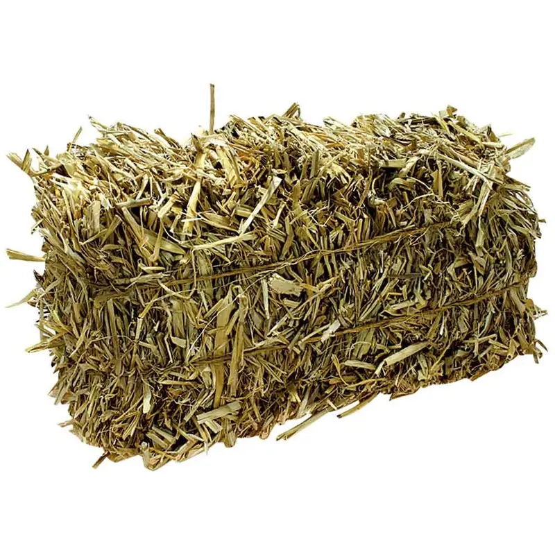 Barley Straw Mini-Bale - 4.5 in. x 6 in. x 12 in.