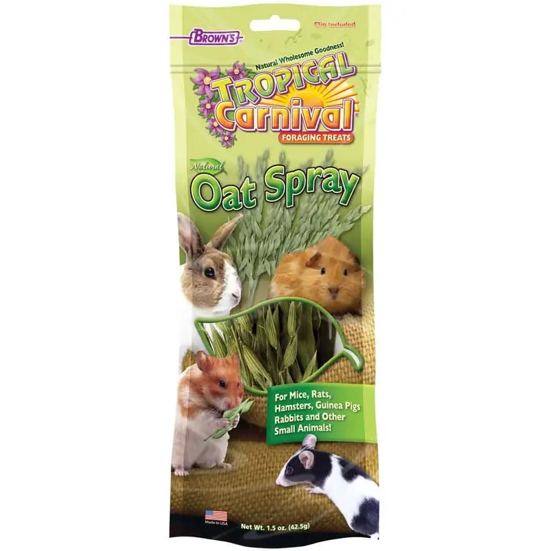Natural Oat Spray Foraging Treat - 1.5 oz