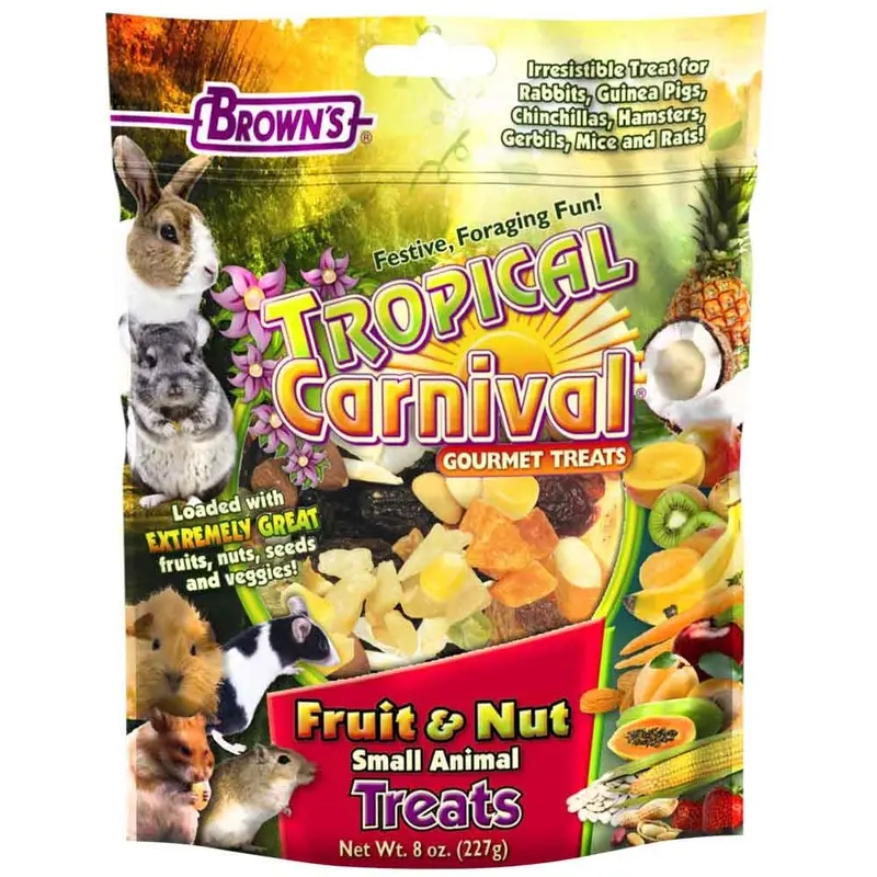 Tropical Carnival Extreme Fruit & Nut Small Animal Treat - 8