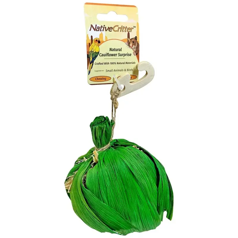 Exotic Nutrition - Cauliflower Surprise Small Pet Toy