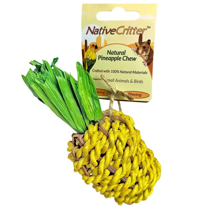 Exotic Nutrition - Pineapple Small Pet Chew