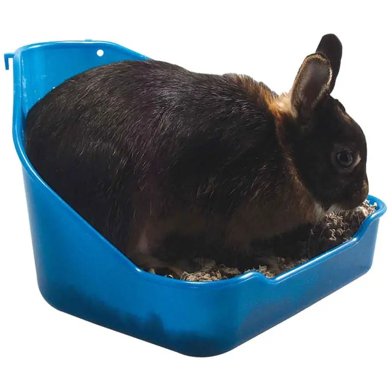 Hi Back Cage Pan - Assorted Colors