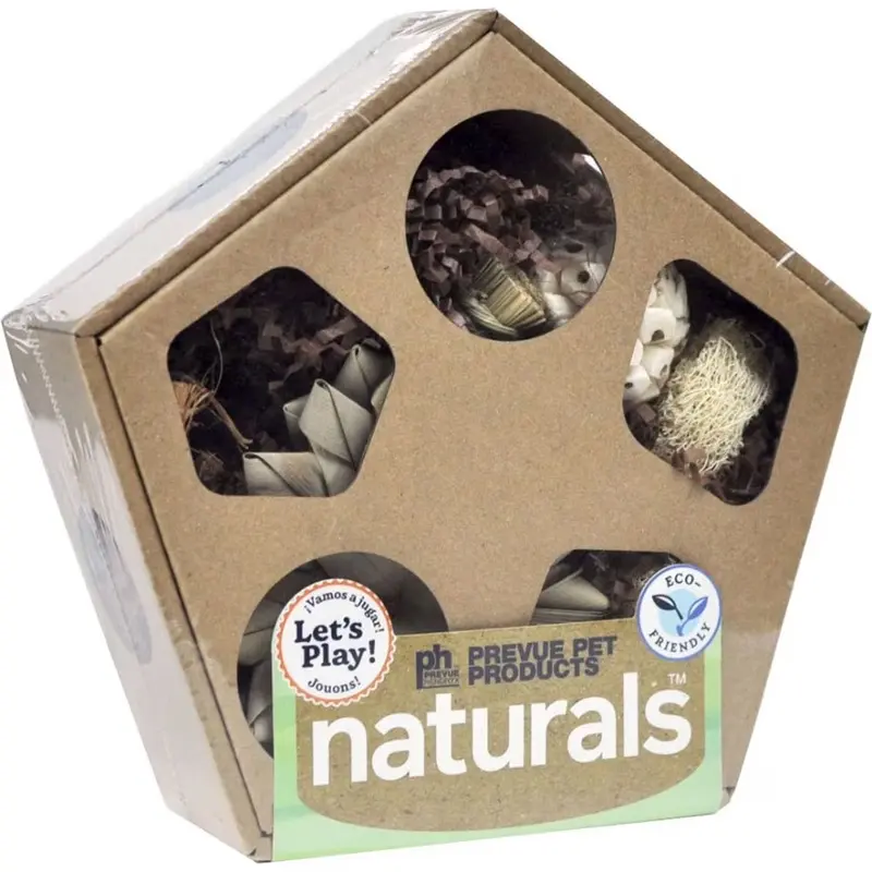 Prevue - Pentagon Forage N Play Box LG