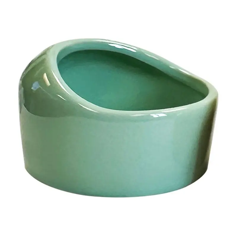 Exotic Nutrition - Assorted Ceramic Feeding Dish