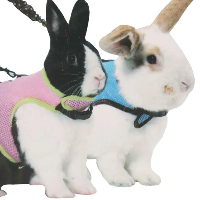 Kaytee - Comfort Harness & Stretchy Leash Lg