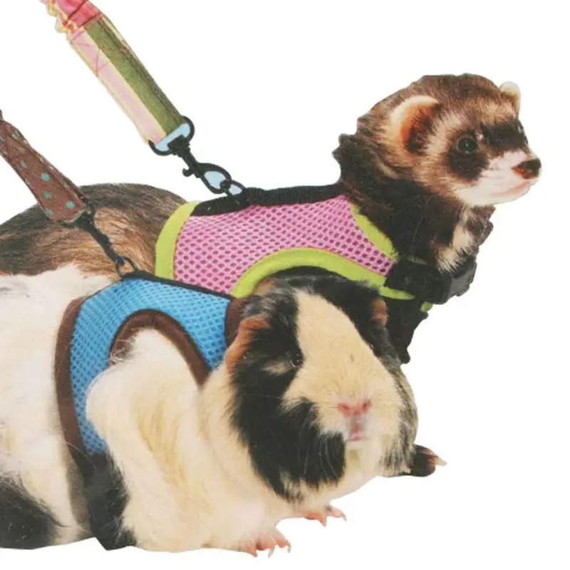 Kaytee - Comfort Harness & Stretchy Leash Md