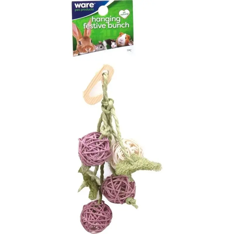 Ware - Festive Hanging Bunch Small Pet Chew