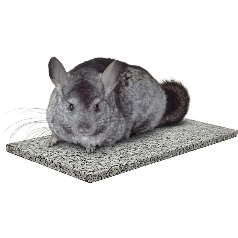 Kaytee - Chincilla Chin Chiller