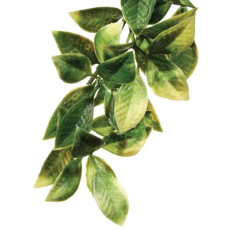 Exo Terra - Mandarin Jungle Plant - Lg