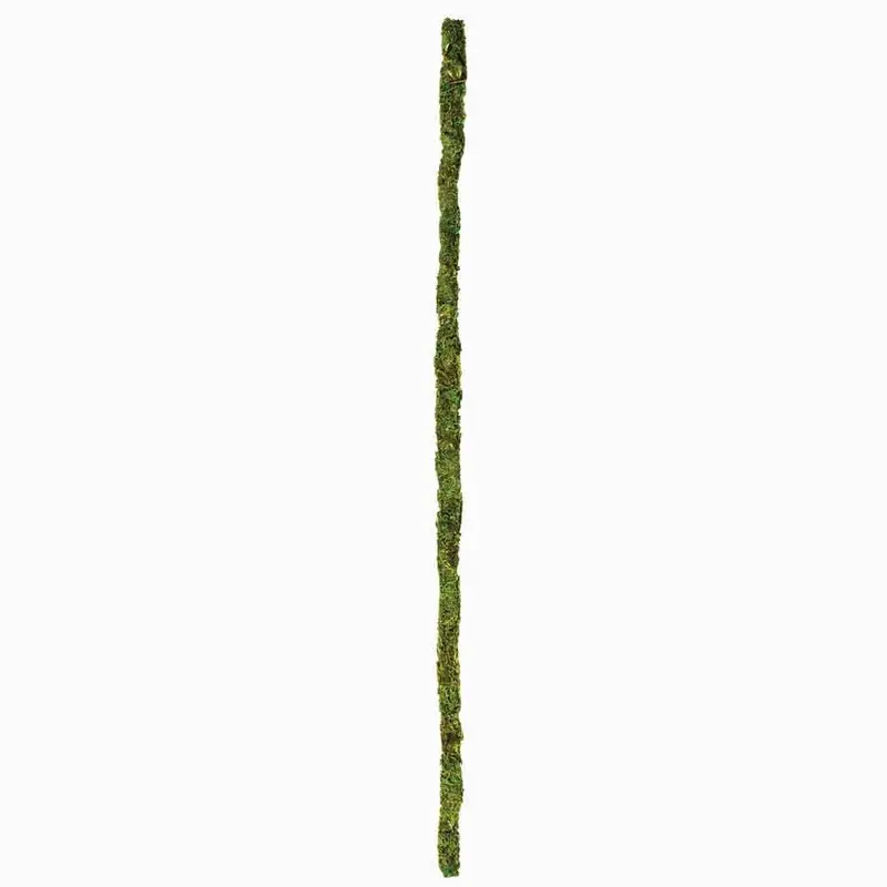 Galapagos - Mossy Stakes 32in. 6pk