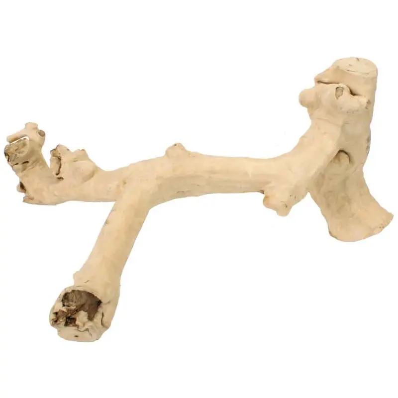 Java Wood Reptile Branch  Medium