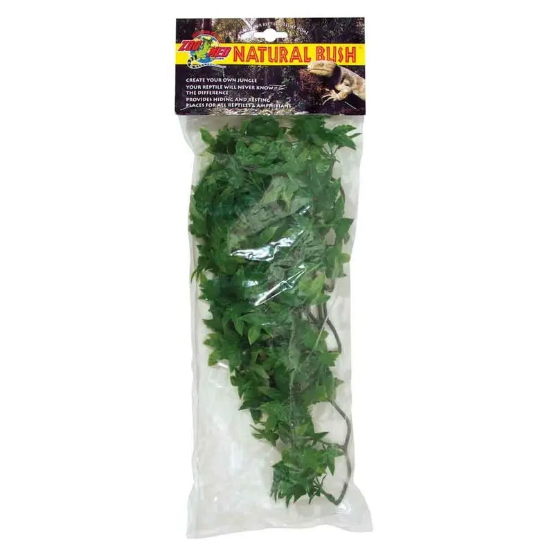 Zoo Med - Natural Bush Congo Ivy Md
