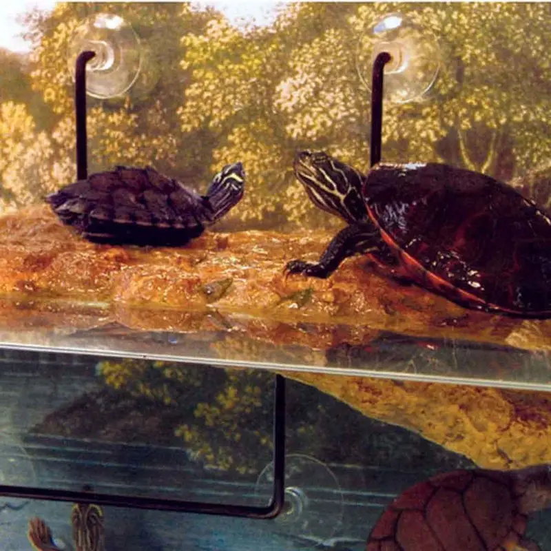 Zoo Med - Turtle Dock Lg