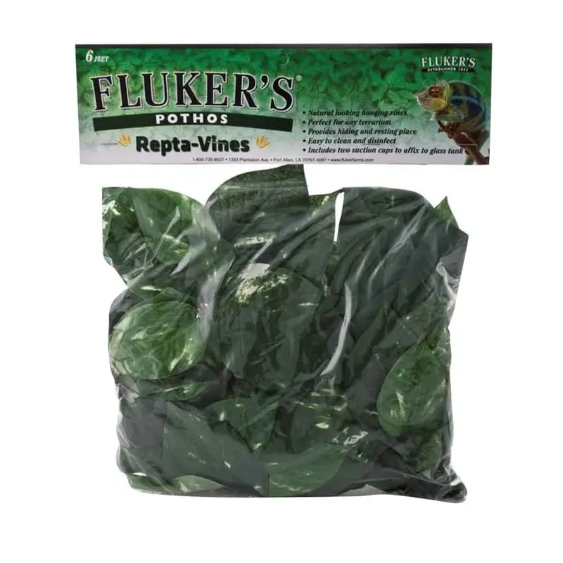 Fluker's - Repta Vine - Pothos