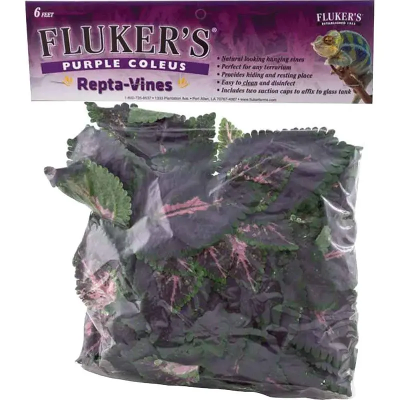 Fluker's - Repta Vine - Purple Coleus - 6 foot