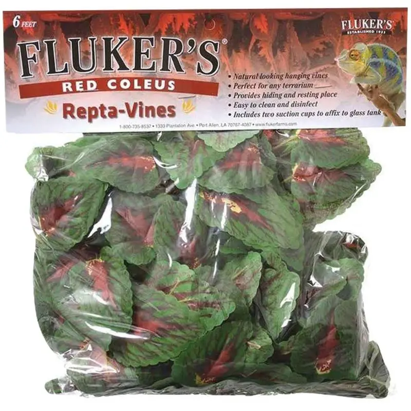 Fluker's - Repta Vine - Red Coleus