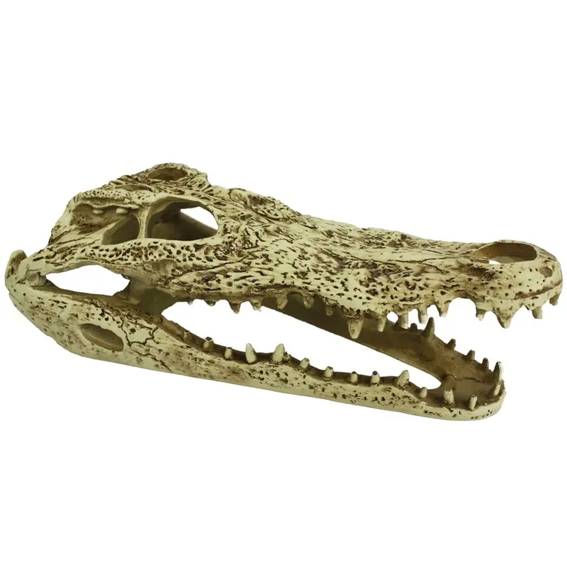 Komodo Terrarium Ornaments - Alligator Skull