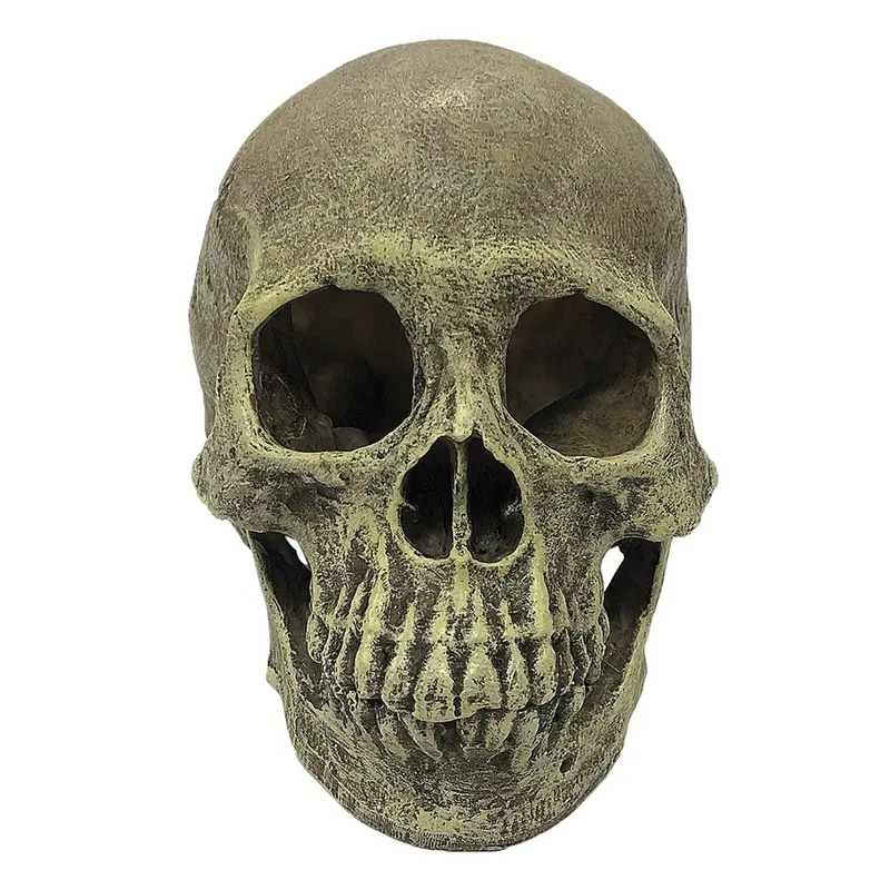 Komodo Terrarium Ornaments - Human Skull - Full