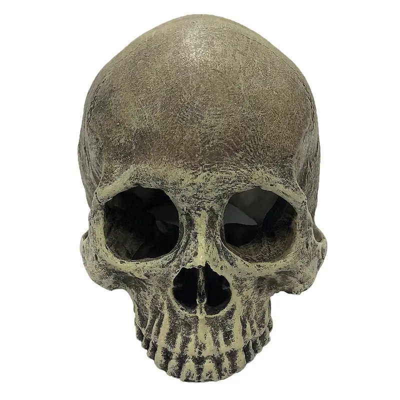 Komodo Terrarium Ornaments - Human Skull - Half