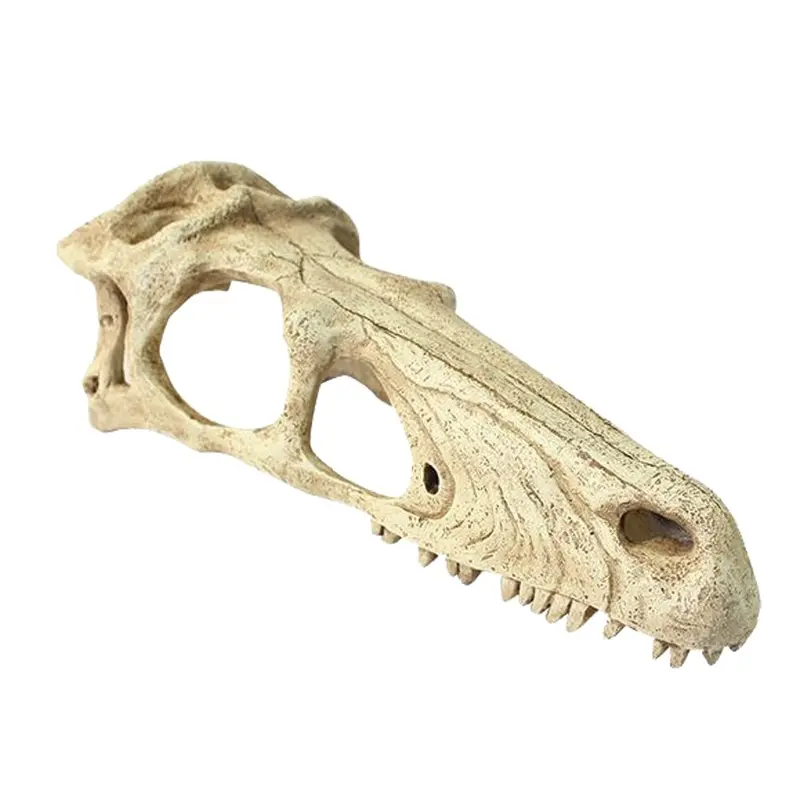Komodo Terrarium Ornaments - Raptor Skull - Large