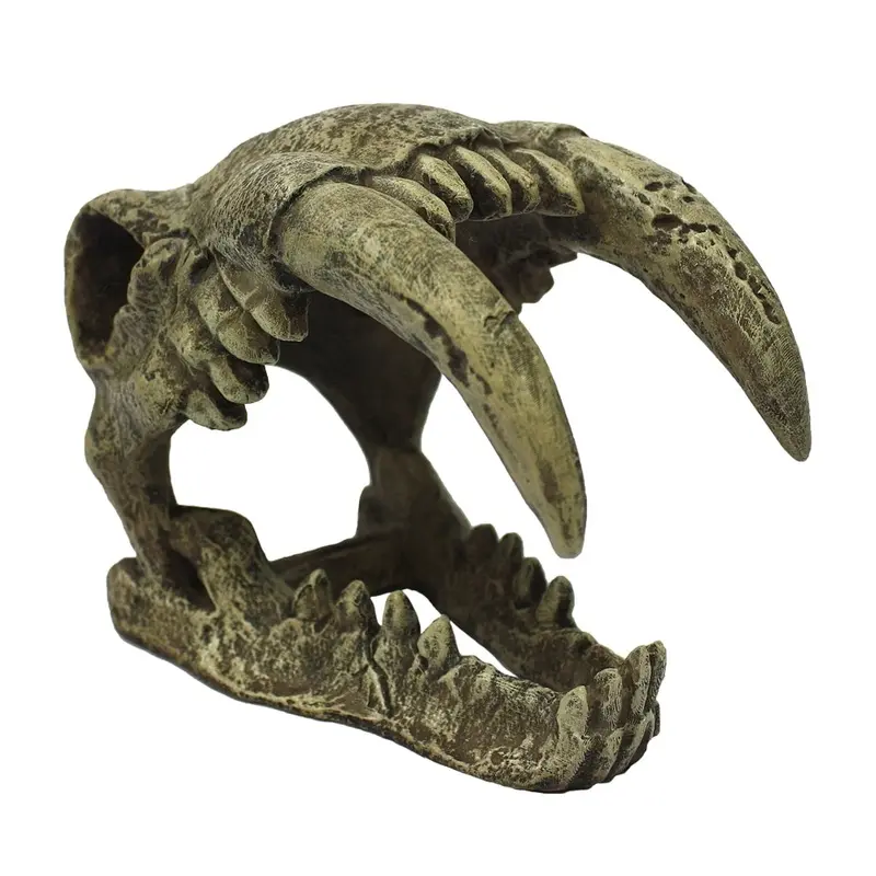 Komodo Terrarium Ornaments - Saber Tooth Tiger Skull - Large
