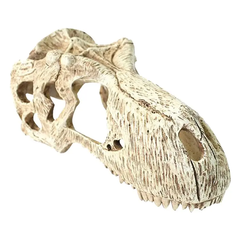 Komodo Terrarium Ornaments - T-Rex Skull - Large