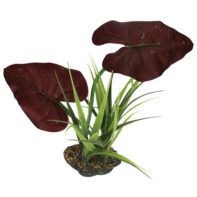 Komodo Terrarium Plants - Rainforest Canopy w Base