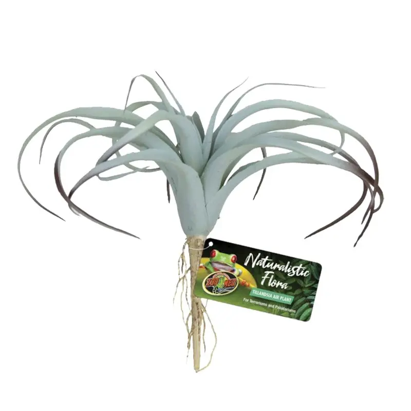 Zoo Med - Naturalistic Flora Tillandsia Air Plant