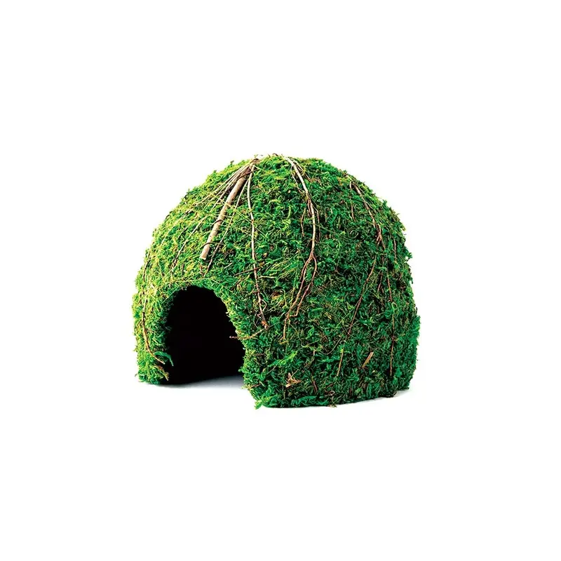 Galapagos - Mossy Dome Hideaway 9in.