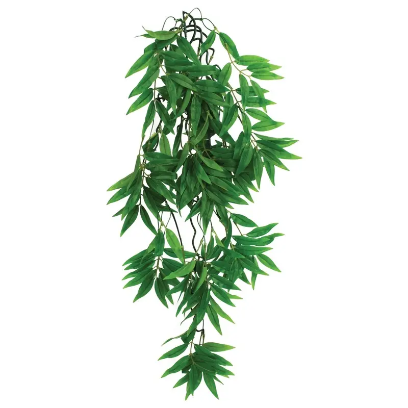Komodo Terrarium Plants - Hanging Bamboo - Large