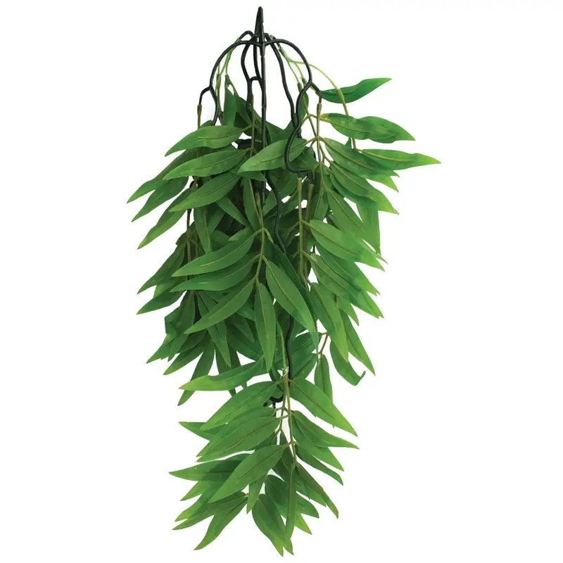 Komodo Terrarium Plants - Hanging Bamboo - Small