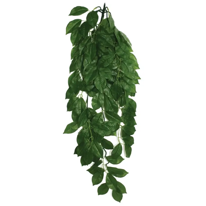 Komodo Terrarium Plants - Hanging Green Leaf - Large