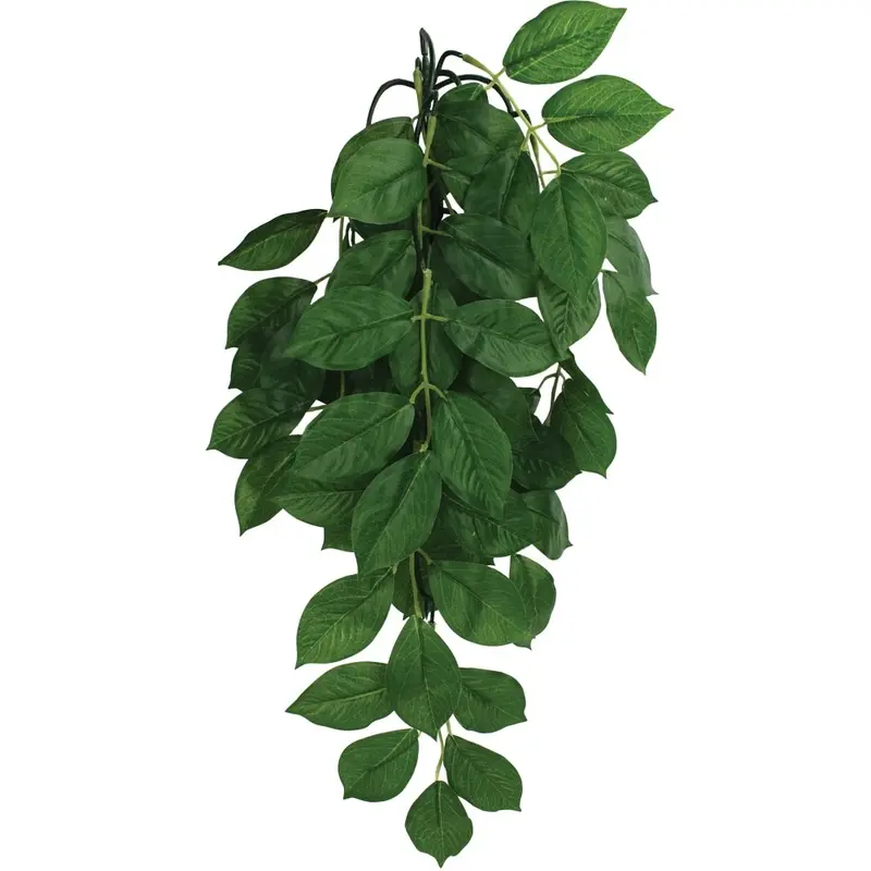 Komodo Terrarium Plants - Hanging Green Leaf - Small