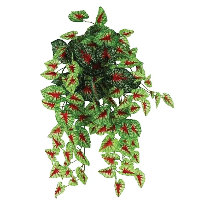 Pangea Hanging Bush - Caladium - 18 in.