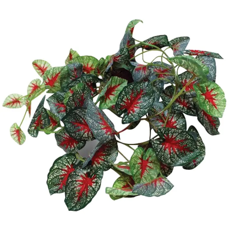 Pangea Leafy Vine - Caladium
