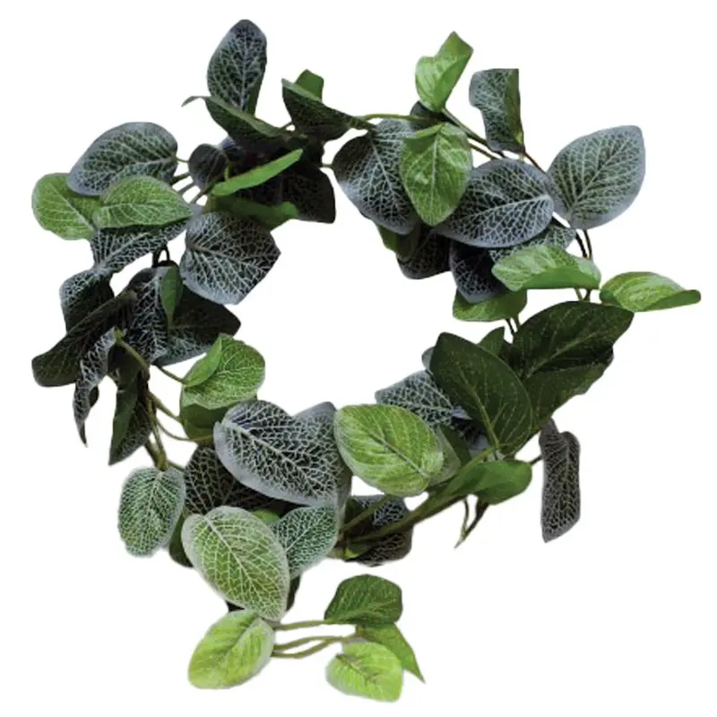 Pangea Leafy Vine - Fittonia