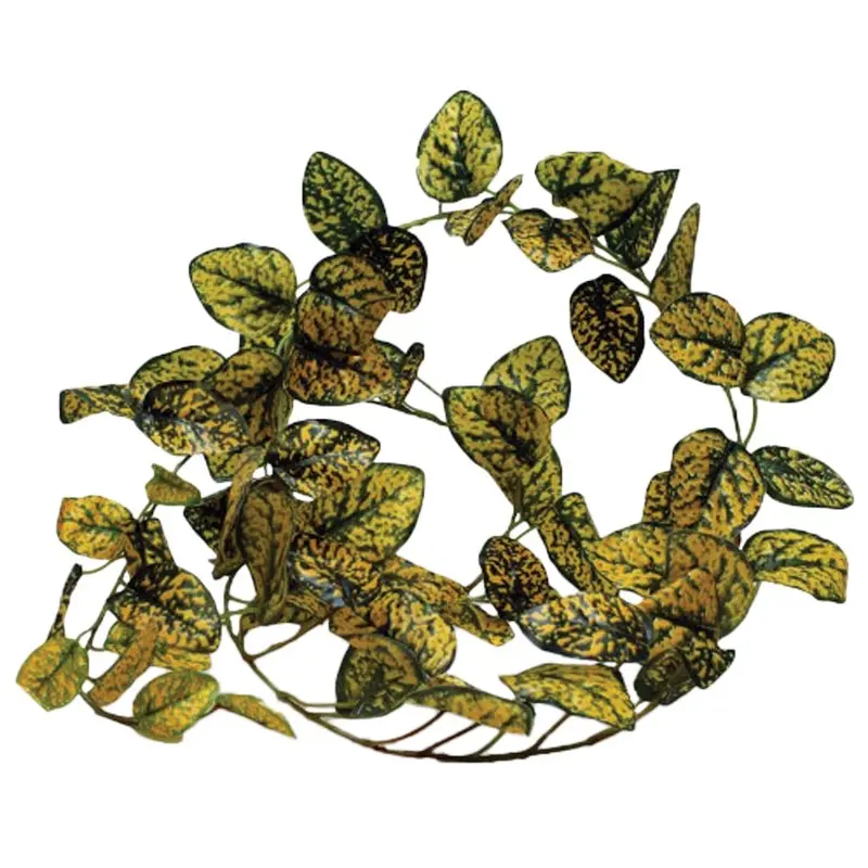 Pangea Leafy Vine - Japanese Laurel