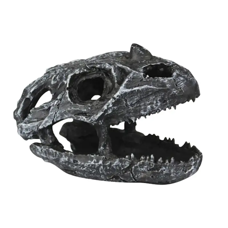 Pangea Reptile Hide - Dinosaur Skull