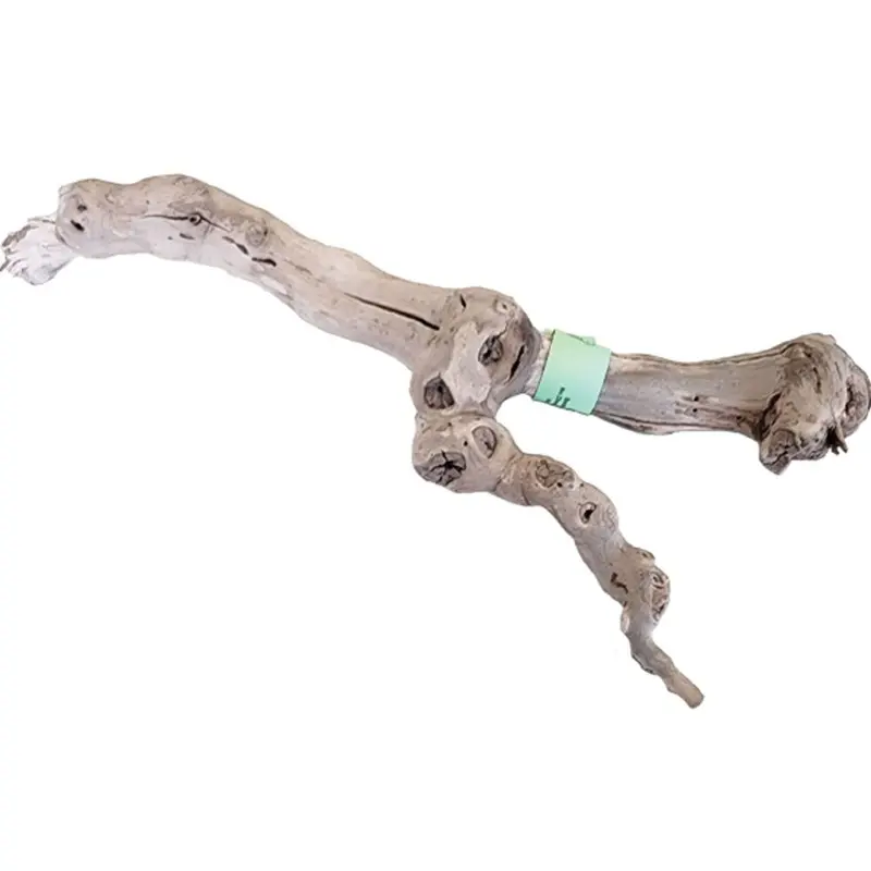Sublime Vine - Sandblasted Grapevine - 18in
