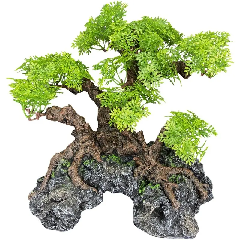 Komodo - Bonsai Tree - LG