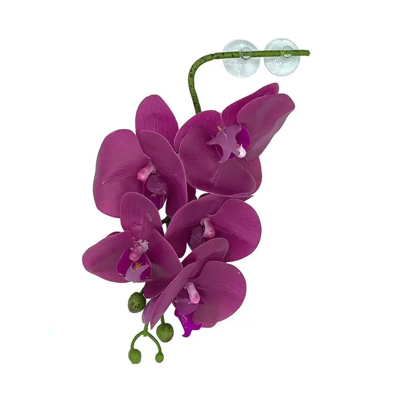 Pangea - Hanging Orchid - Purple