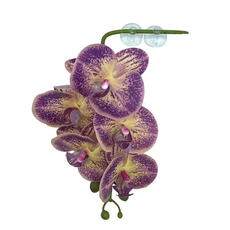 Pangea - Hanging Orchid - Purple &Yellow
