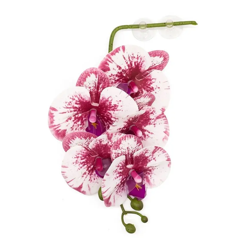 Pangea - Hanging Orchid - White