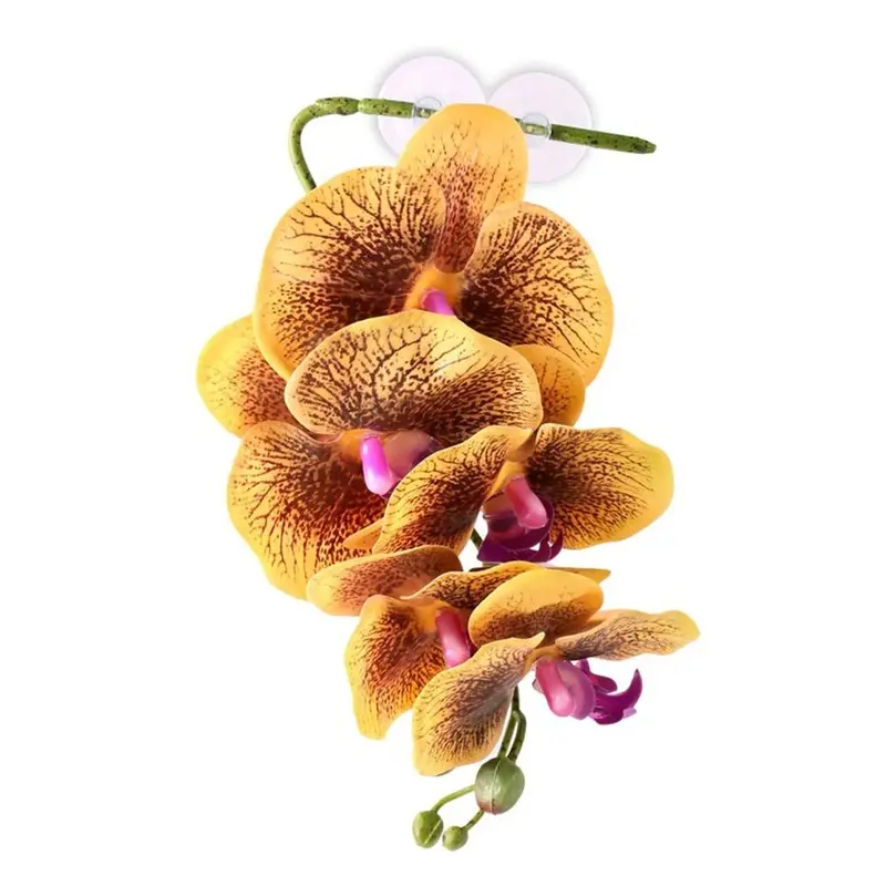 Pangea - Hanging Orchid - Yellow