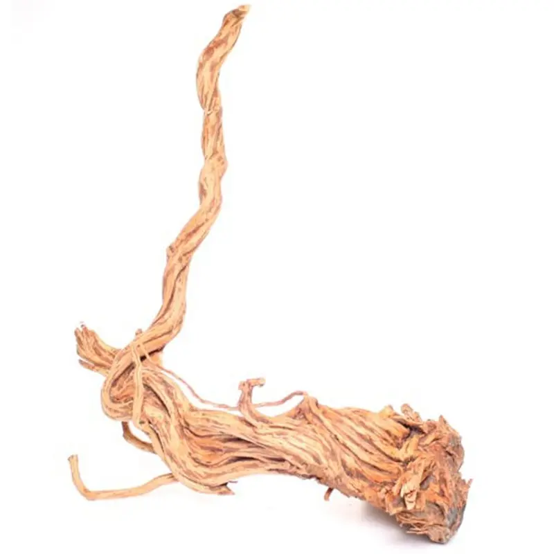 Underwater Treasures - Terrarium Wood Root