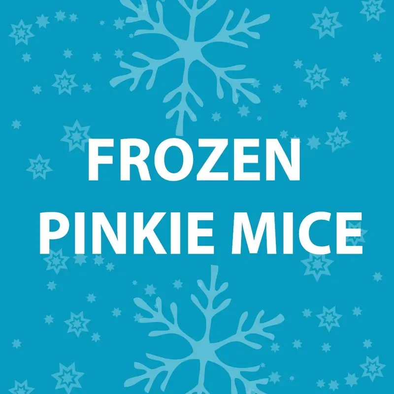 Feeder Mice - Frozen Pinkie