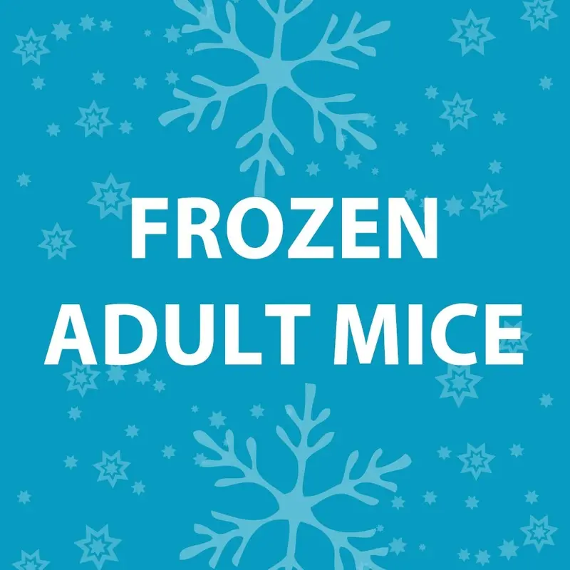Feeder Mice - Frozen Adult